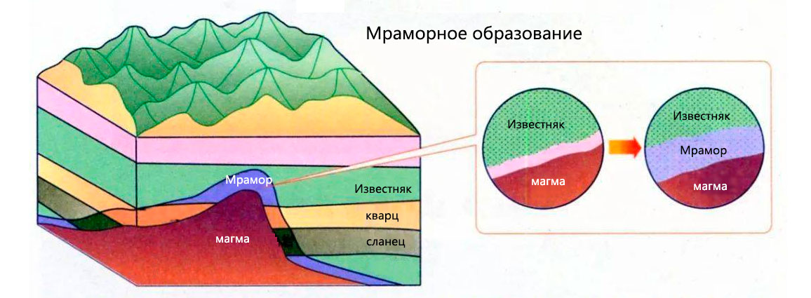 Образование натурального мрамора